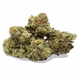 Master Kush