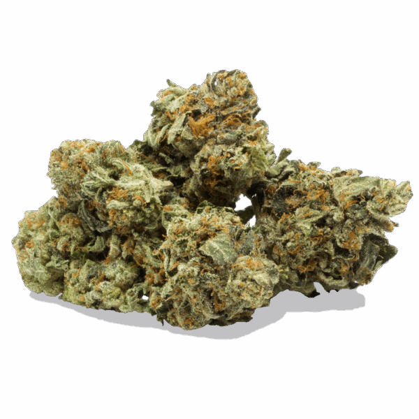 Master Kush
