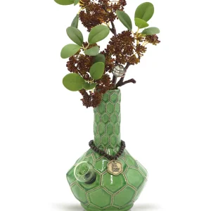 TURTLE WATER PIPE Market